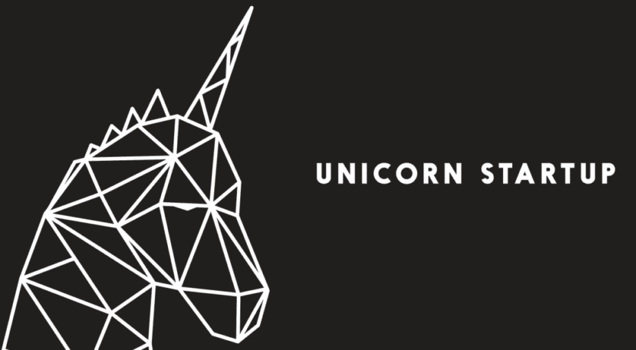 Startup unicorn